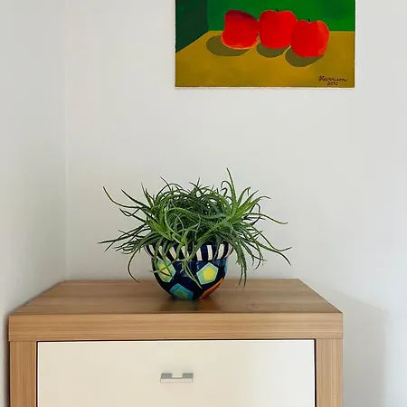 Harrison Homes 02 Terrace And Parking アパート